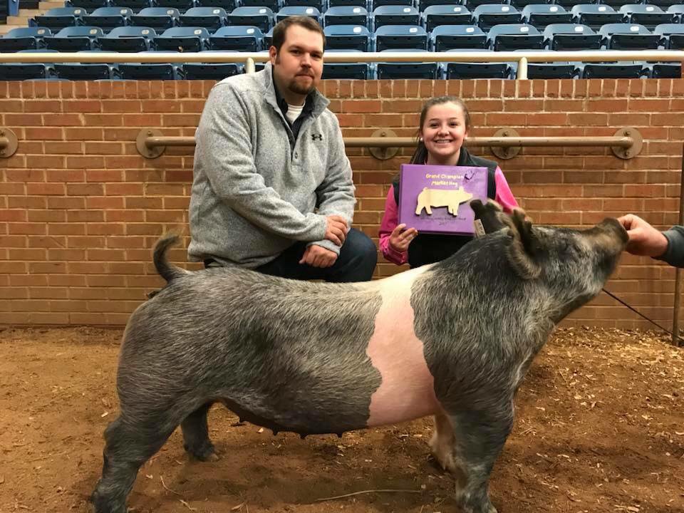 4 H Swine Project Loudon County 4 H Swine Project Loudon County