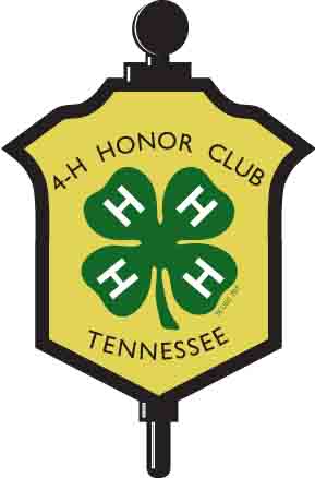 Honor club что это