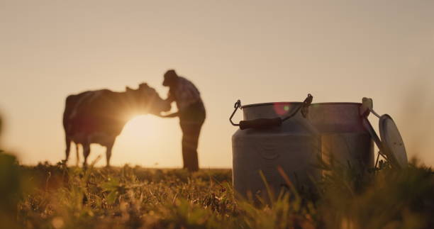 The silhouette of a farmer stands near a cow with a milk can in the foreground.