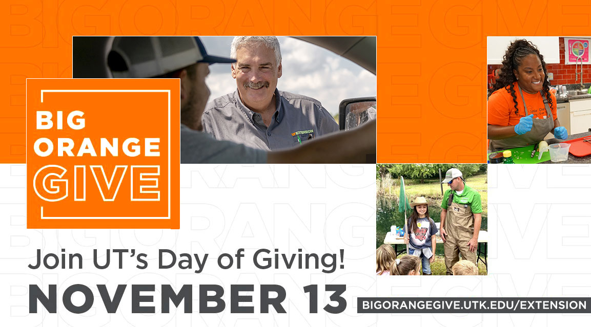 Big Orange Give - Join our day of giving November 13